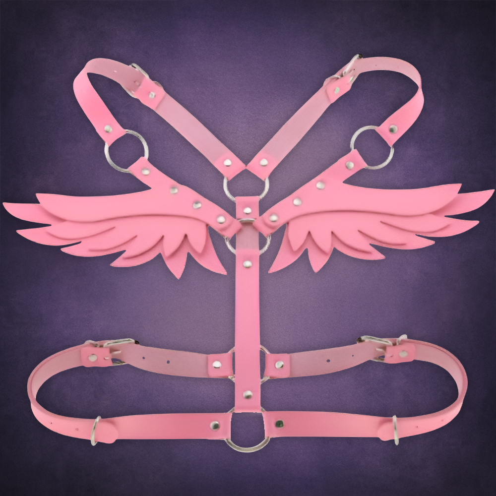 Harnais - Aurora Wings